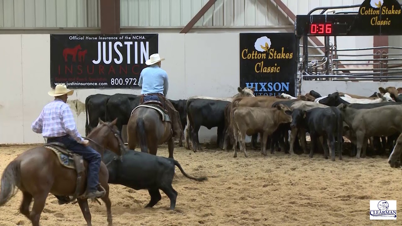 Over The Reynbow Cotton Stakes shown by Greg DeLong