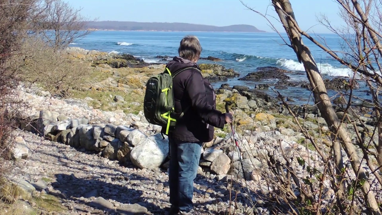 Vårhallen och Hallamölla ( Naturvandringar i Årstiden )