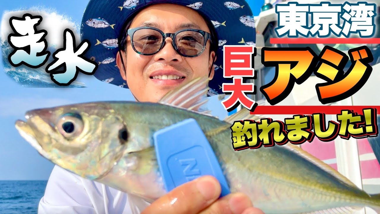 【アジ釣り】東京湾　走水沖でアジ爆釣！大アジを狙え！【黄金アジ】【走水アジ】【孫武丸】