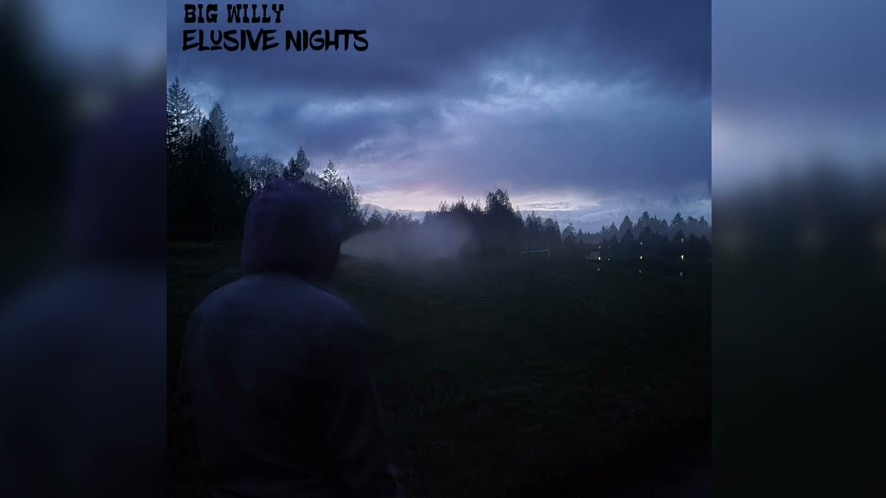 Big Willy - Stoned In Focus
