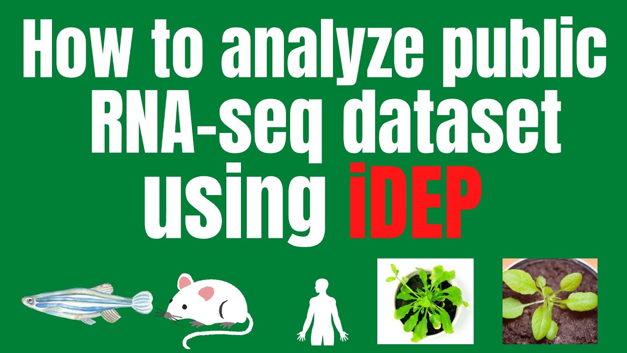 How to analyze public RNA-seq datasets using iDEP tool