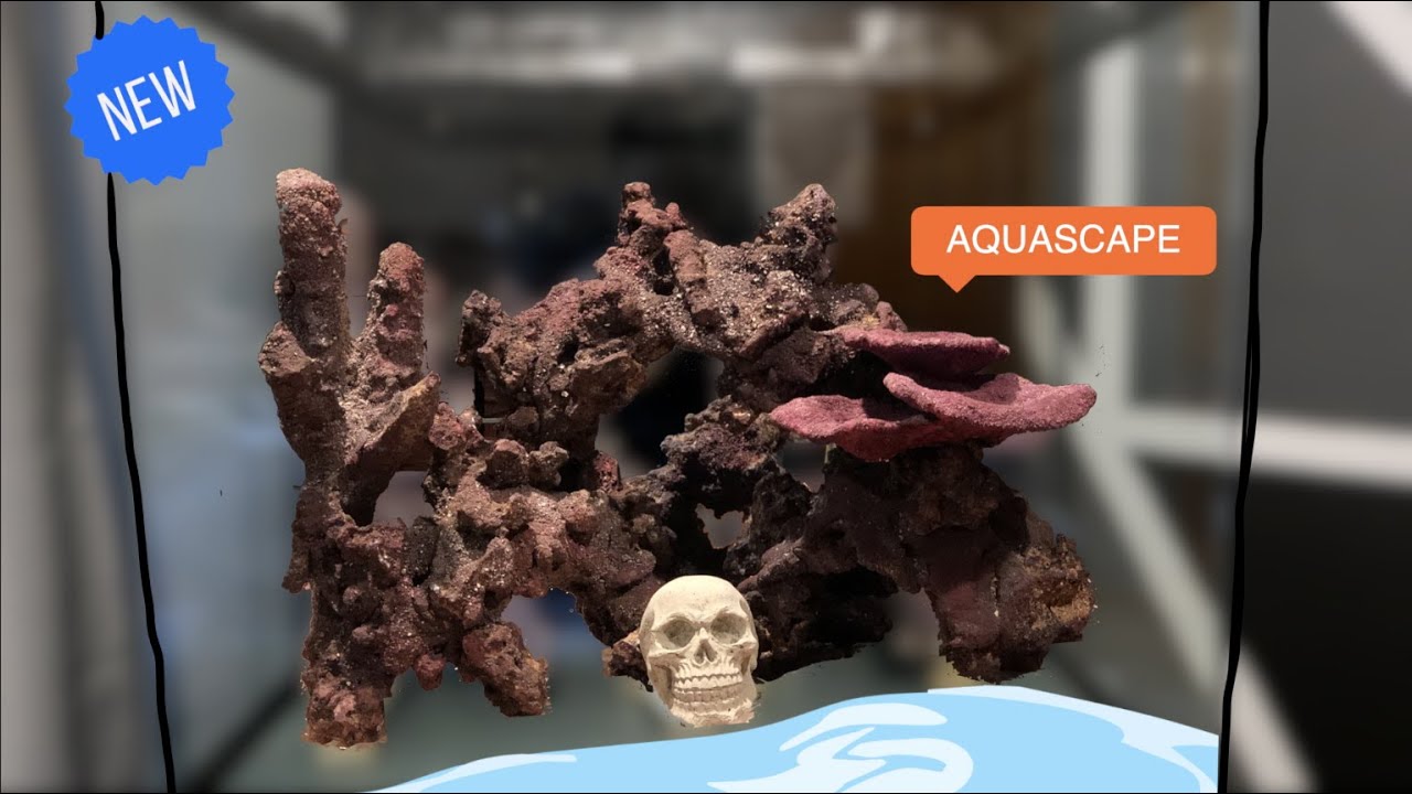 Caribsea Liferock unboxing and Aquascape!!