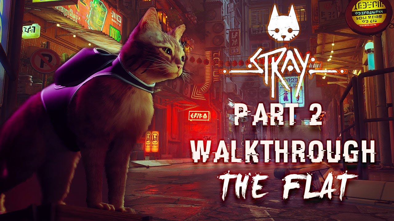 Stray Part 2 - How to solve all the puzzles in The Flat