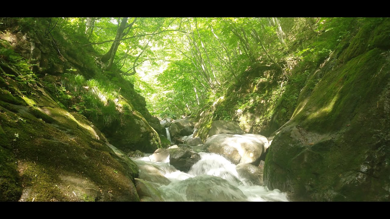 沢登り　20220703　福島県不動川
