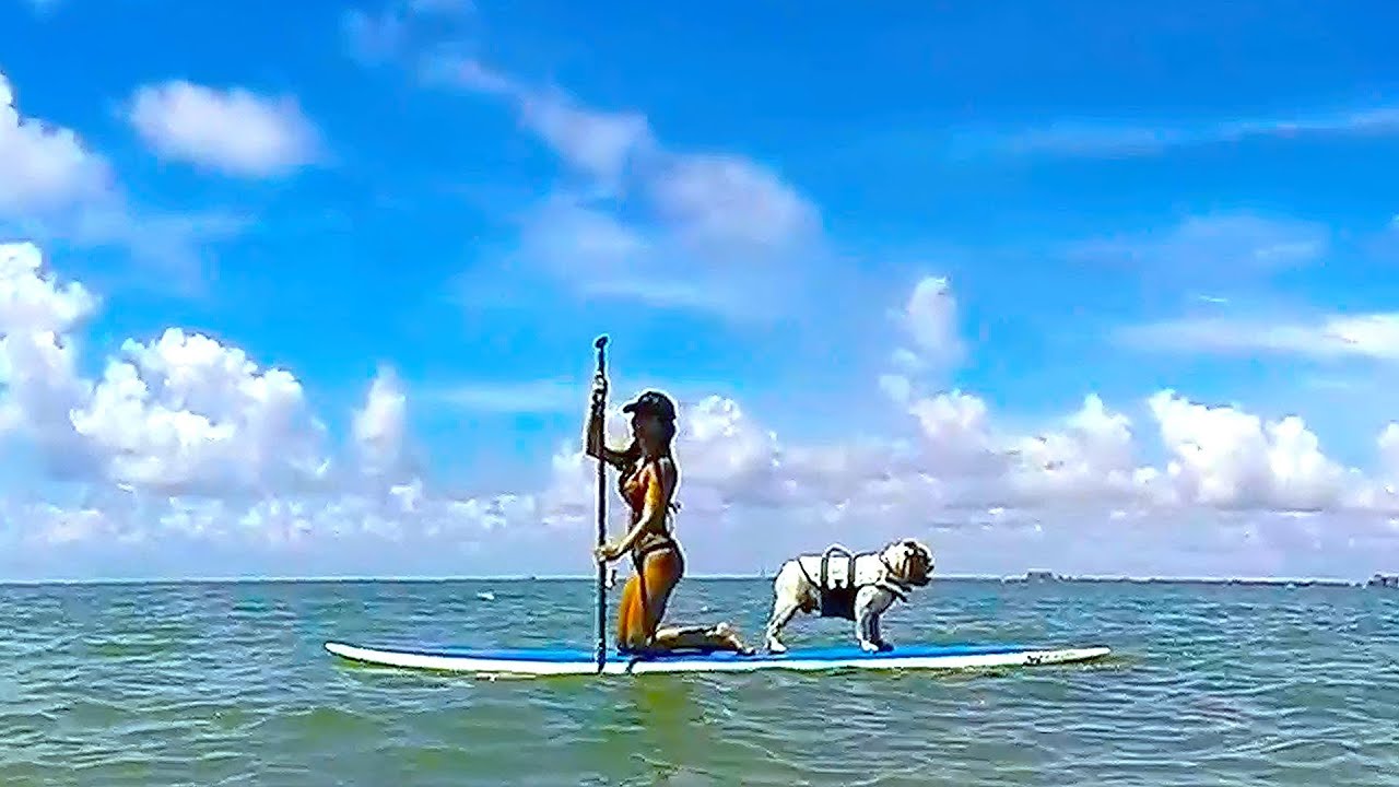 Paddle Board Metal Detecting