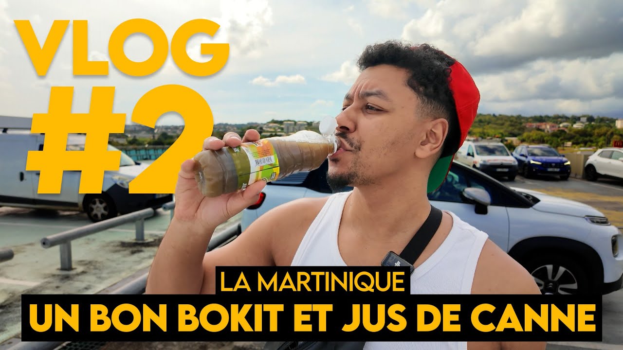 LA MARTINIQUE : Que faire à Fort-de-France ? (bokit, jus, resto...) | Vlog 2