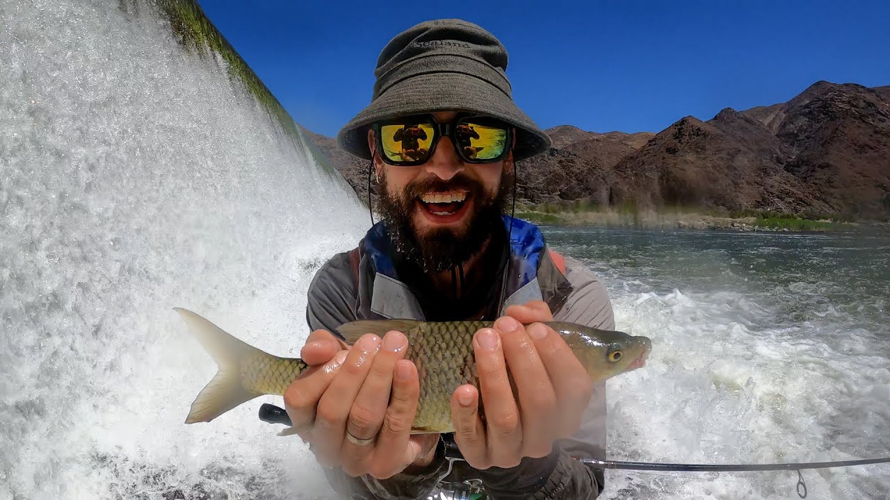 Catching Yellowfish on the Orange River with Some Thing Fishy