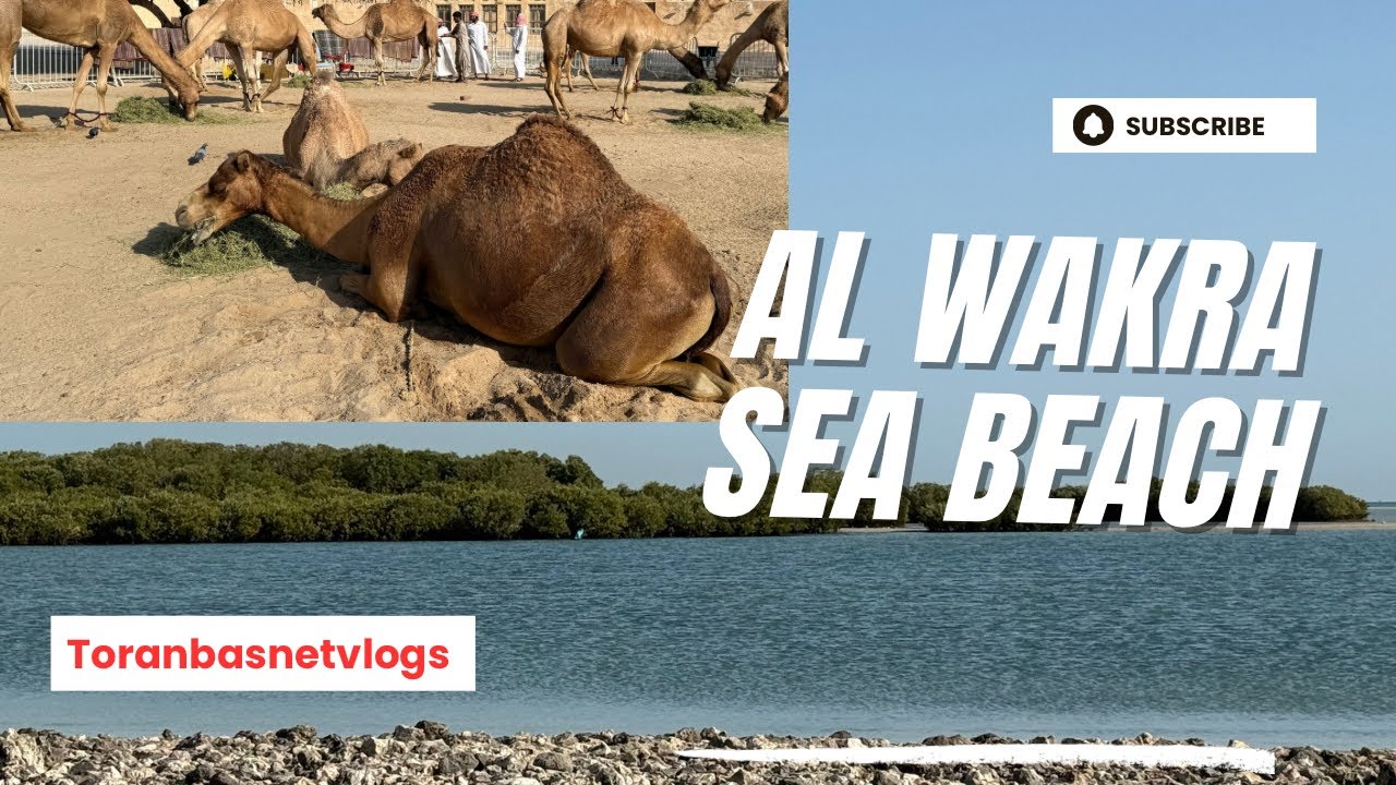 Al Wakra Beach Qatar 🌴 | Peaceful Beach Tour & Local Life | Vlog | Toran Basnet Vlogs