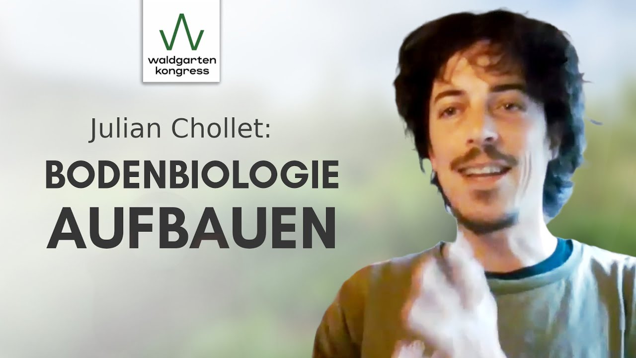 Julian Chollet: 