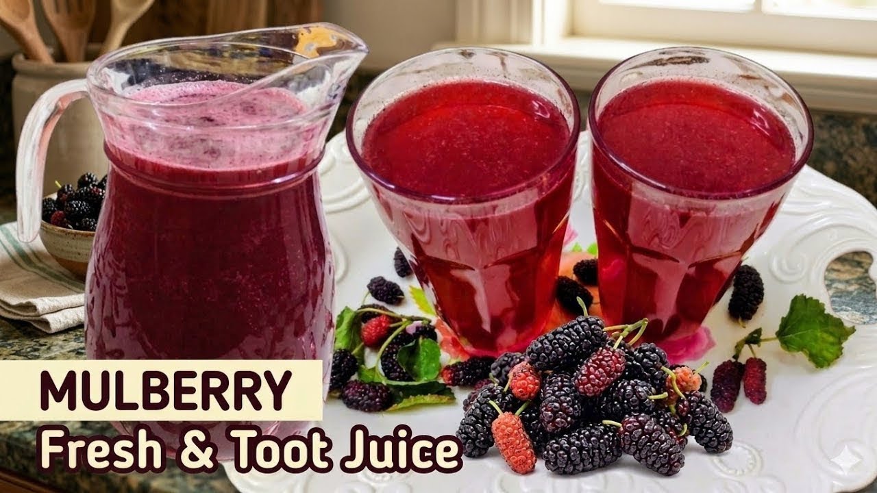 Mulberry Juice | Mulberry Recipes | Mulberry Juice recipe |how to make Mulberry Juice|Mulberry Fruit