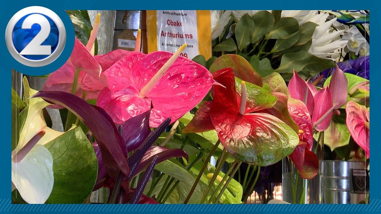 Flower supply following the rain depleted, but remains strong