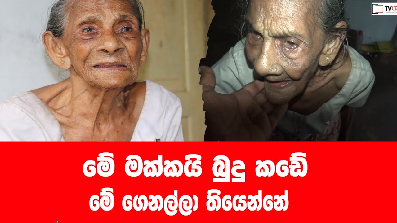 මගේ මැණිකේ ආවද අපි බලන්න