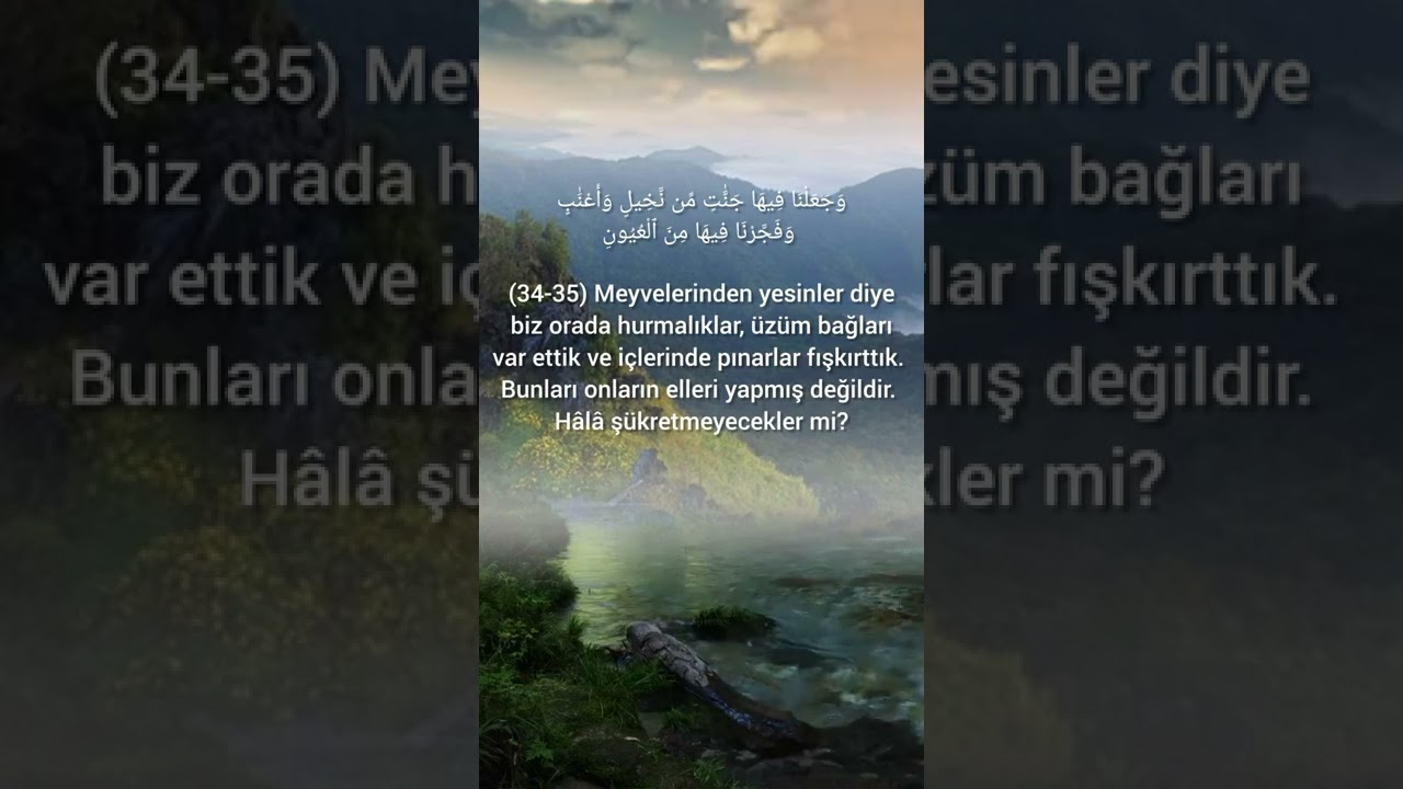 YASIN SURESI YUREK TITRETEN ESSIZ TILAVET MOHAMMED HESHAM #dua #ayet #iman