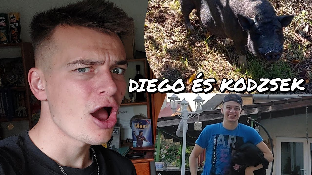 KODZSEK ÉS DIEGÓ VISSZATÈRT!