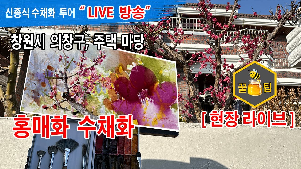 창원시 의창구, 주택 담벼락 홍매화 수채화 그리기