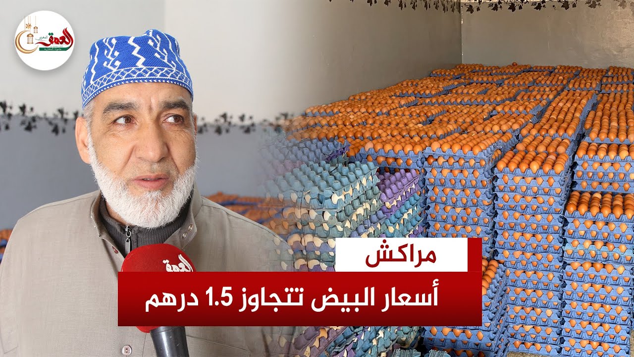 سعر البيض يتجاوز درهما ونصف في مراكش وسط دعوات لمقاطعته