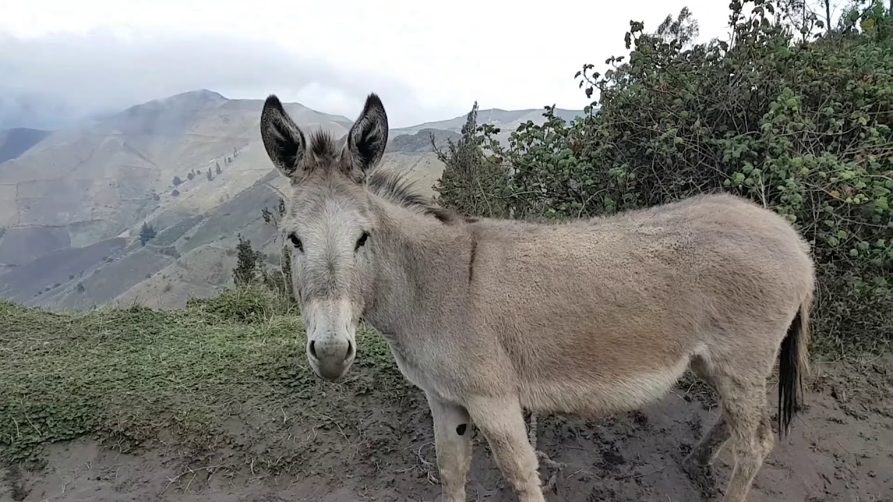 Trans Ecuador Mountain Bike Route (short music version)