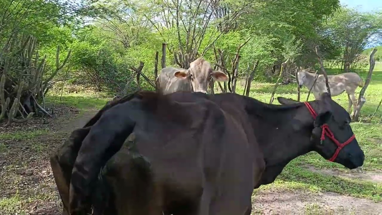 A mudança depois das chuvas 