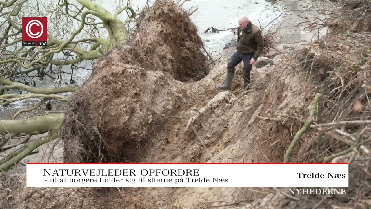 Jordskred på Trelde Næs