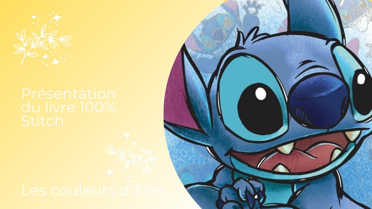 Présentation du livre 100% Stitch