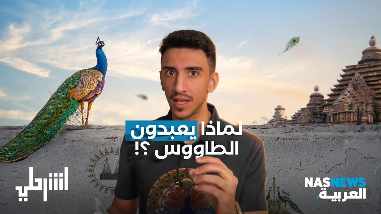 اشرحلي | لماذا يعبدون الطاووس؟