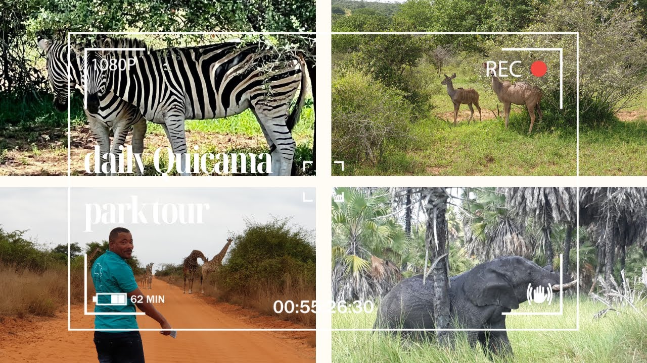 Parque nacional da Quicama | Kissama National Park | Angolas National Park |