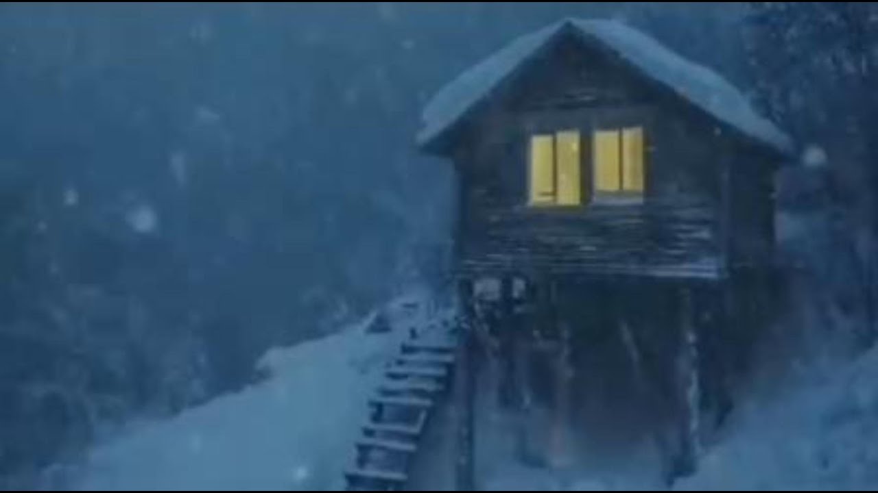 Deep Sleep Blizzard ❄️ Heavy Snowstorm White Noise for Sleeping All Night (11 Hours)