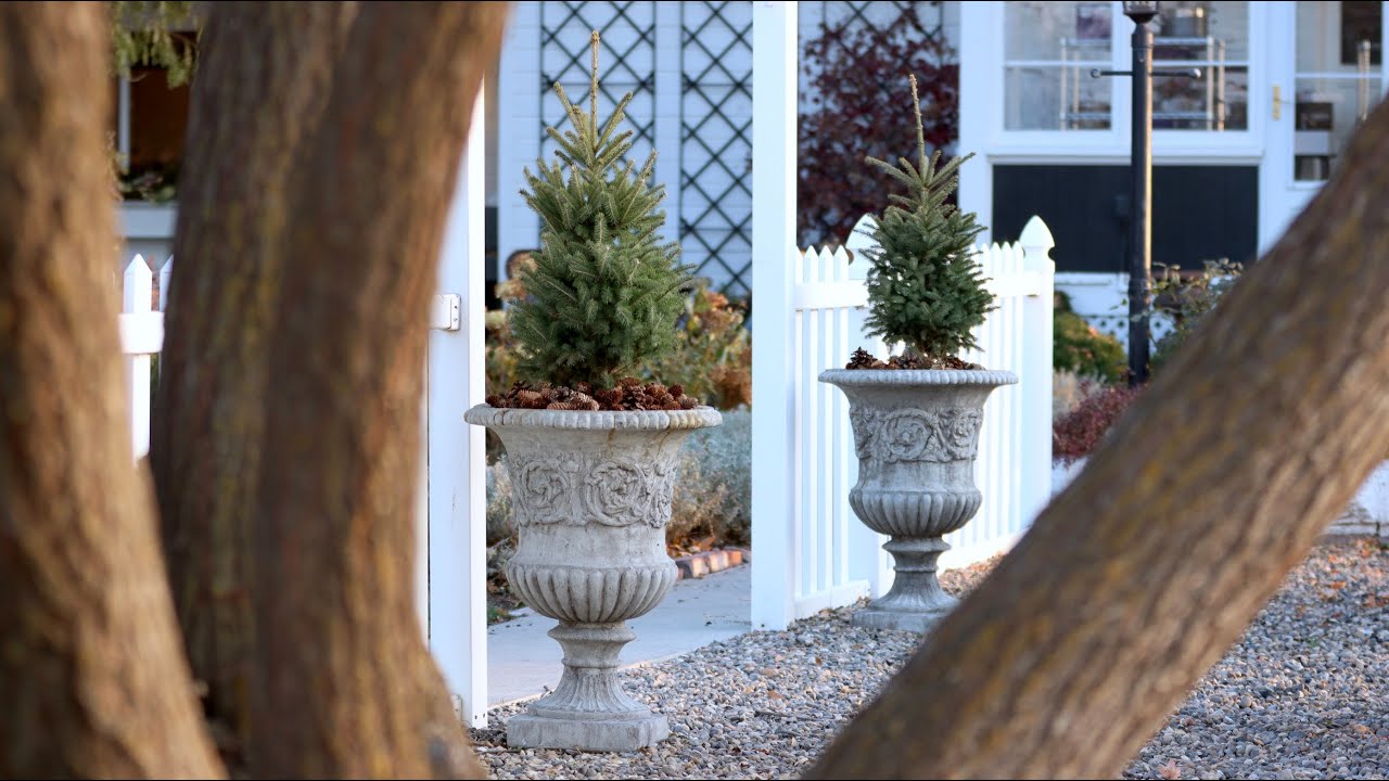 Simple Winter Containers! 🙌🌲❄️// Garden Answer