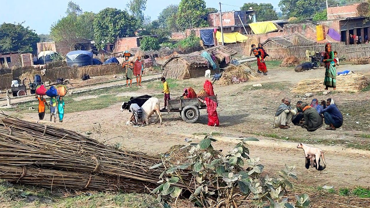 Village Life Of Poor People In india || Natural Life Style In Uttar Pradesh || Village Rural Life