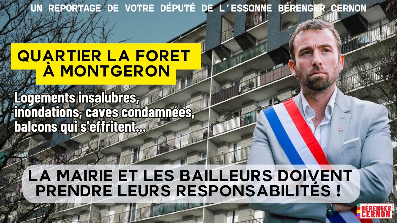 INSALUBRITE DANS LE QUARTIER LA FORET A MONTGERON : QUE FAIT LE BAILLEUR ?