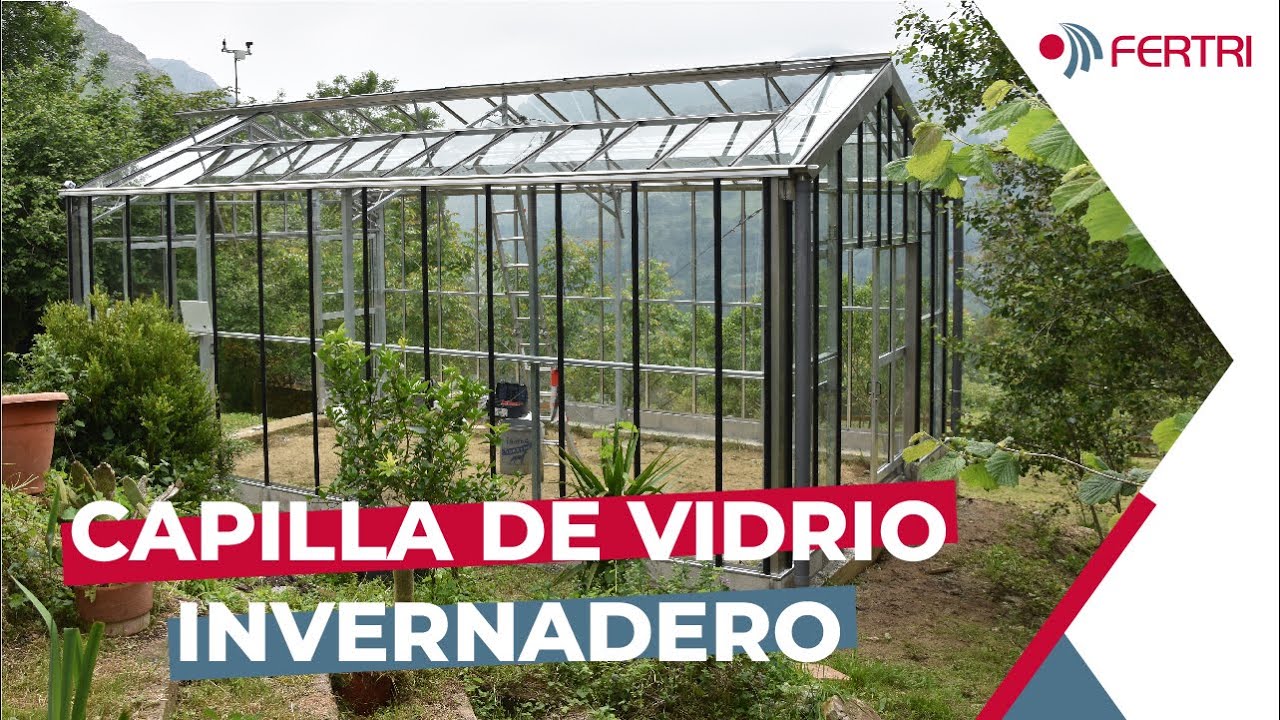 Capilla de VIDRIO de 5 x 8 | INVERNADERO de calidad IDEAL para tu JARDIN | FERTRI