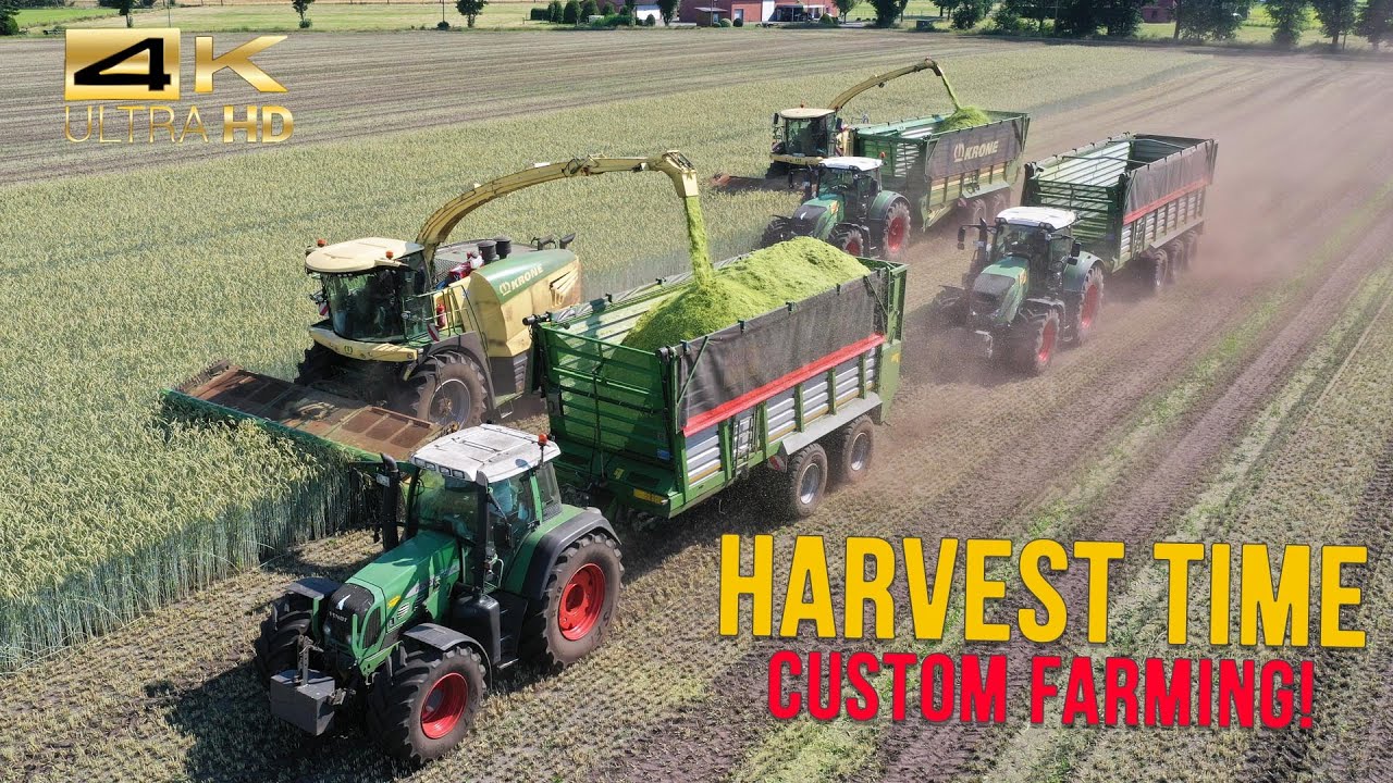 Henke Agricultural Contractors – Green forage harvesting & whole crop silage (Part 2)