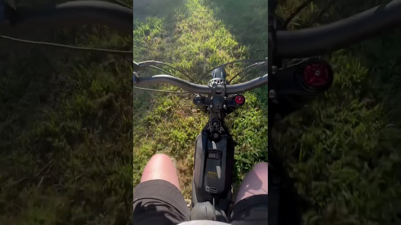 How to deal with fire ants