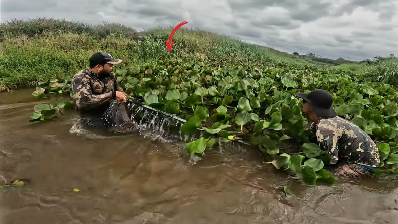O JEITO FOI CORRER E LARGA TUDO SAIU DE BAIXO DO MATO!