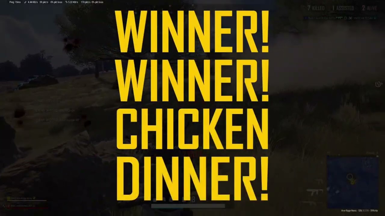 PUBG : BATTLEGROUNDS - Kill Gameplay Compilation 5