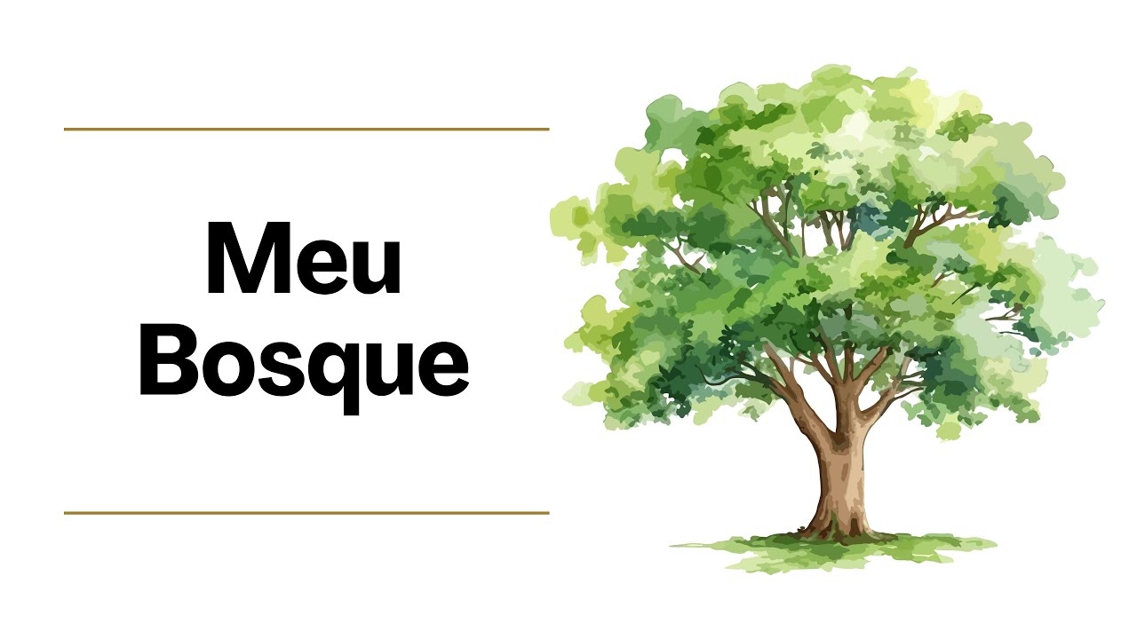 Meu Bosque - instrumental
