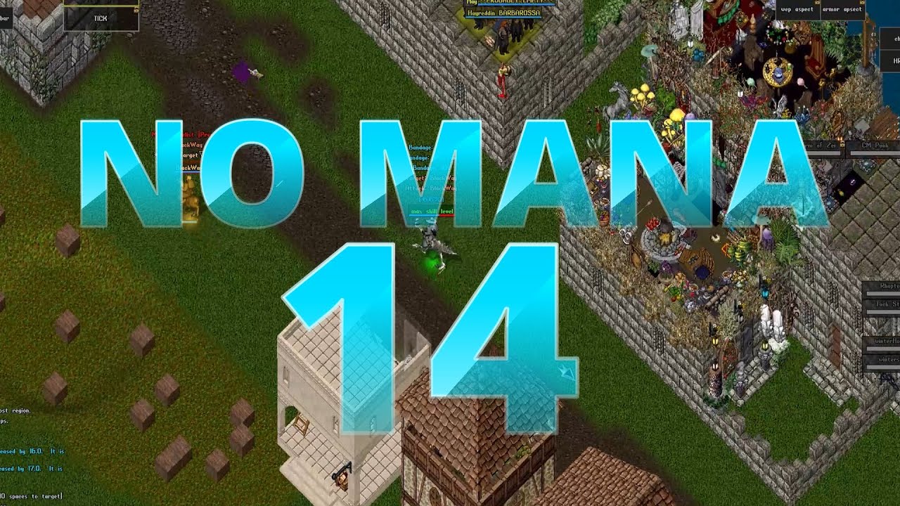 Ultima Online Outlands PvP 2025 - No Mana 14