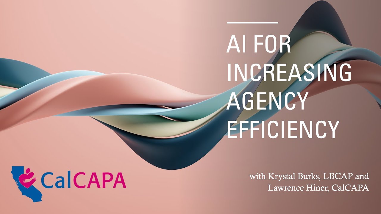 AI for Increasing Agency Efficiency