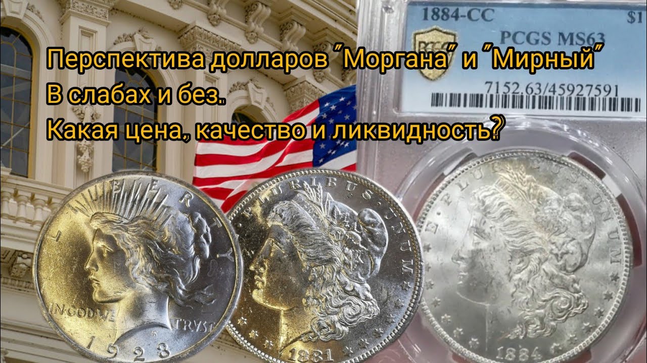 Перспектива долларов 