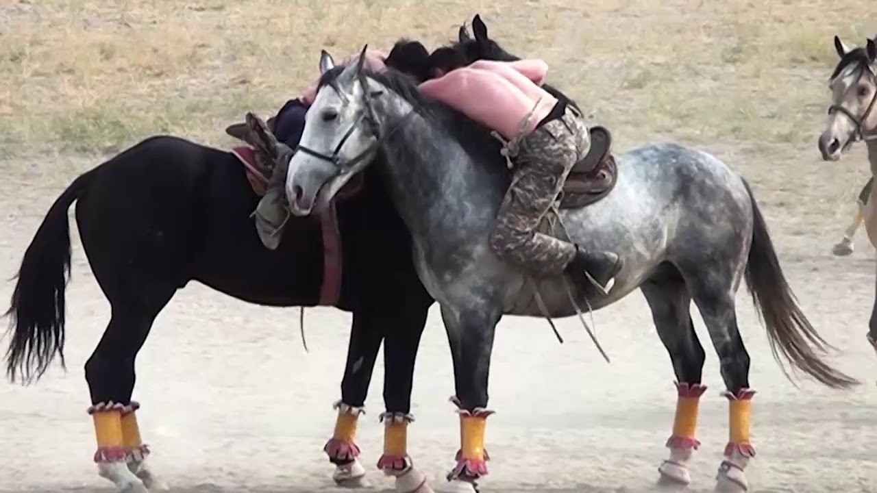 кокпар тараз 2019=Жылыбулак