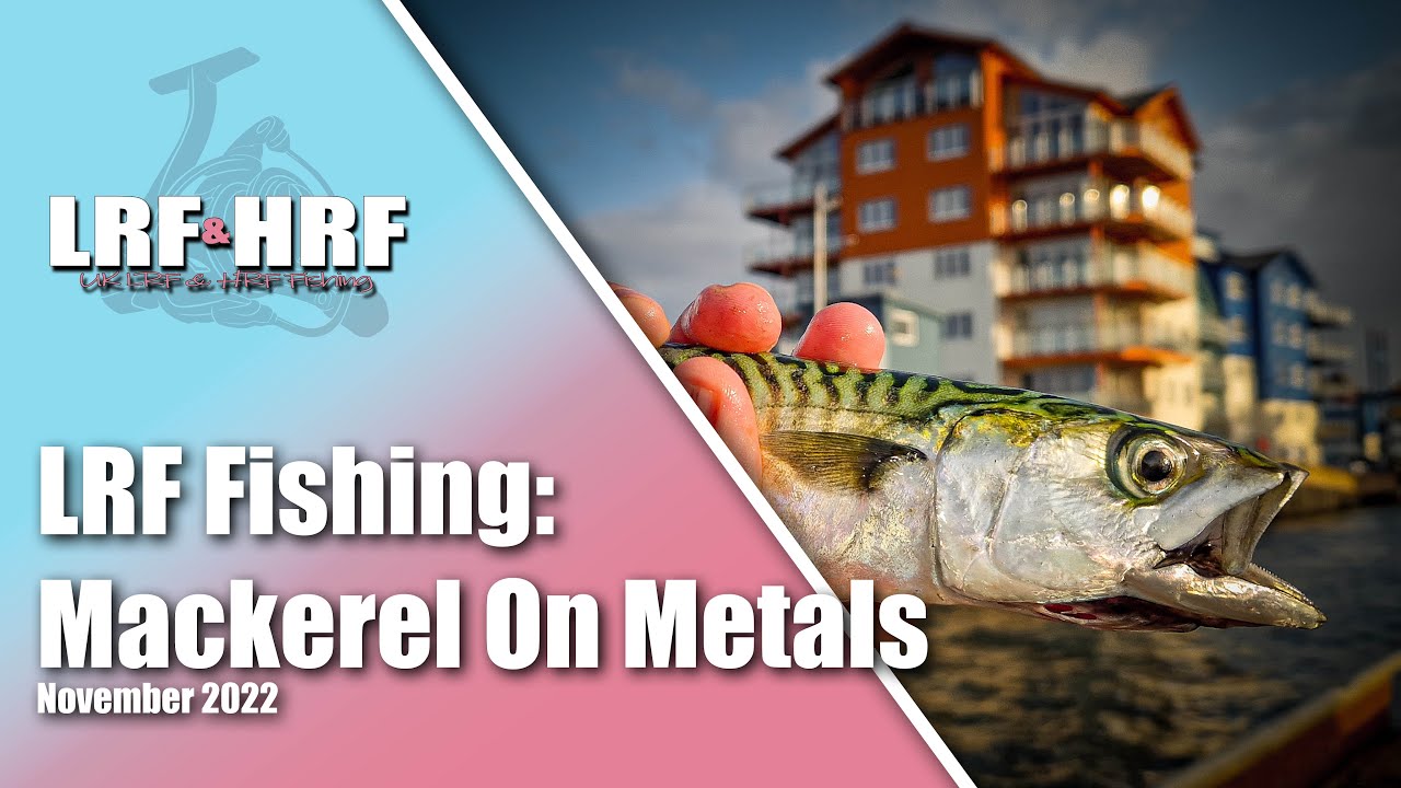 LRF Fishing: Mackerel on Metal Lures - Exmouth