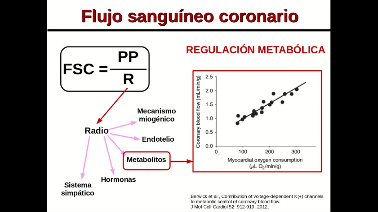 Circulaci&oacute;n coronaria. Flujo sangu&iacute;neo coronario.