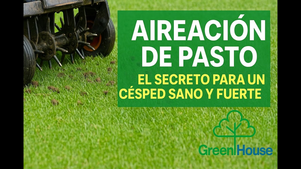 Aireación de pasto: El secreto para un césped sano y fuerte 🌿 Green House