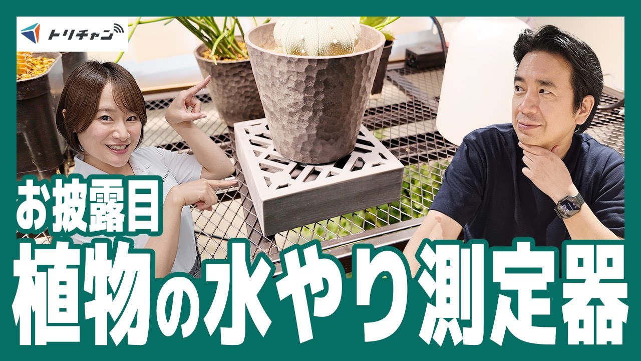 植物水分量計、サンプルが完成しました