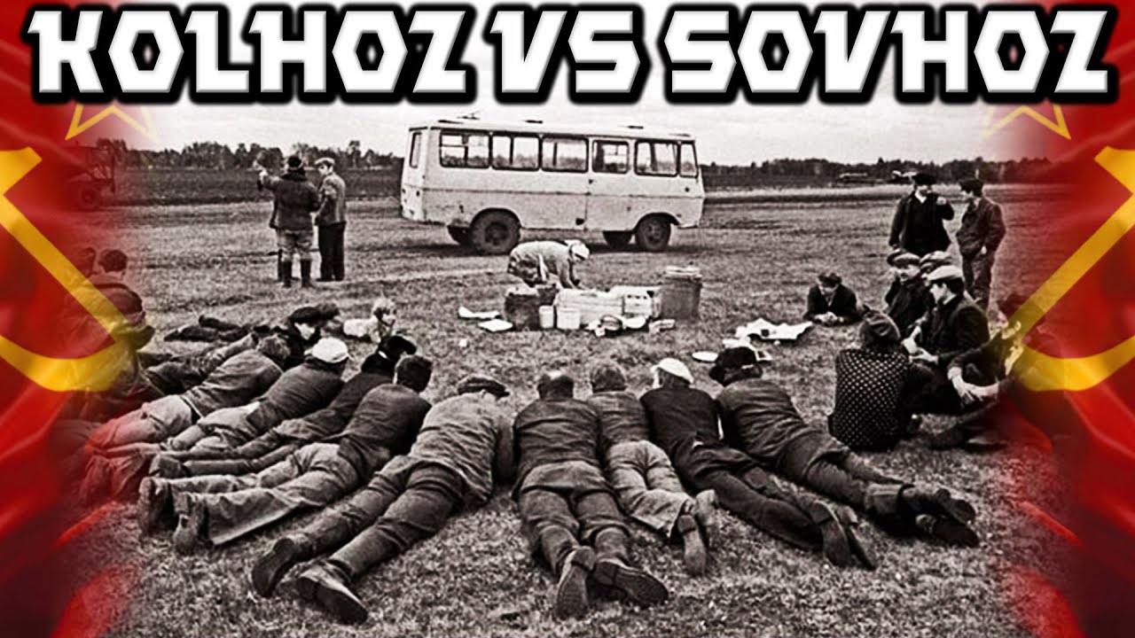 Советское коллективное хозяйство. Разница между колхозом и совхозом.