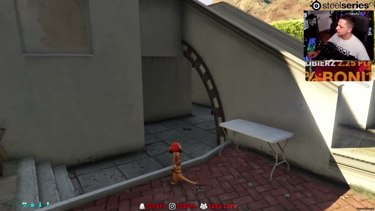 timon quest dla pisiceli #77rp