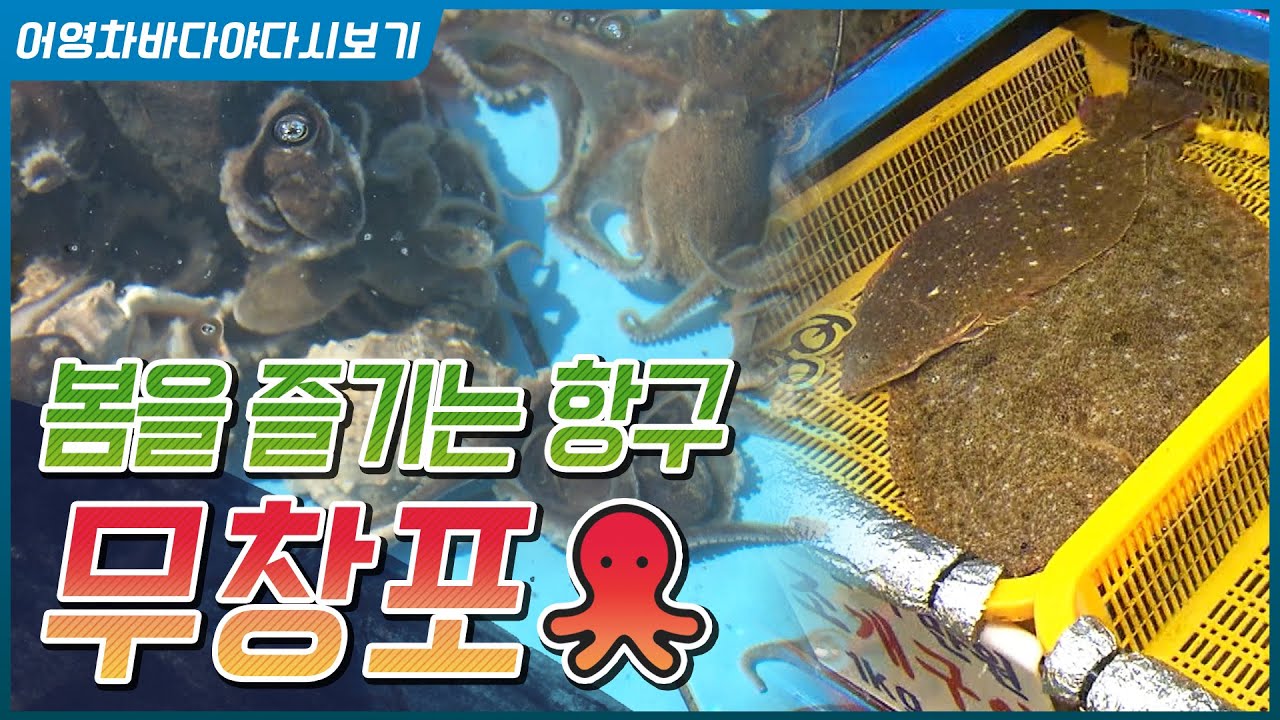 주꾸미와 도다리때문에 봄이 오길 기다렸다! 보령 무창포 이야기  [어영차바다야다시보기]