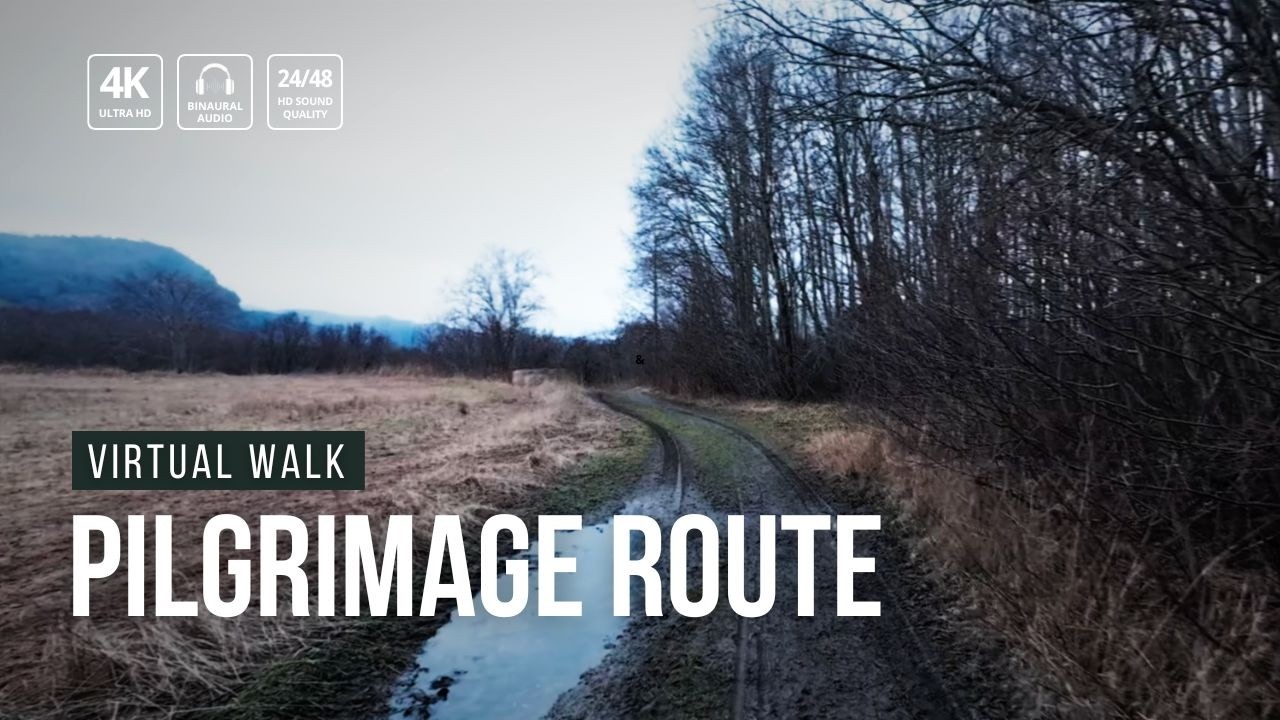 Virtual Walk: The Pilgrimage Route from Trondheim, heading south 🇳🇴