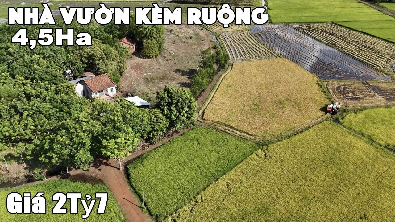 Mảnh Vườn Rộng 4,5Ha cùng Nhà Mái Ngói Mát Mẻ Ngắm Nhìn Cánh Đồng Mênh Mông Giá 2tỷ7