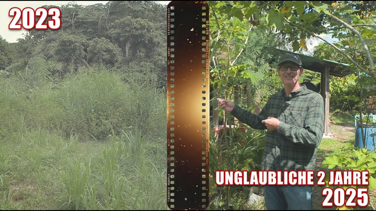 Vom Wildwuchs zum Waldgarten - Unser Kakaogarten 2023 vs 2025